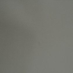 7009 - БЕЖЕВАЯ, пластифицированная кожа HORN®_3