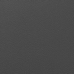 6200- ЧЕРНЫЙ, пластифицированная _кожа HORN®