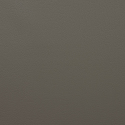 Биэластик кожа 1616