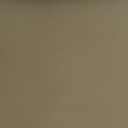 Экокожа на микрофибре Dakota R 2022 бежевая_4
