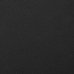 Экокожа Дакота A6399 черная_3