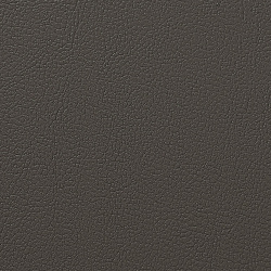 4004 - ТЕМНО-БЕЖЕВЫЙ, пластифицированная кожа _HORN®