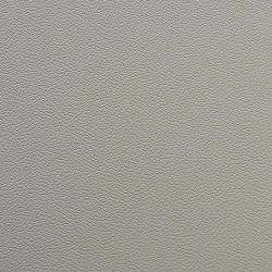 Экокожа микрофибра дакота DAKOTA Е9255_5