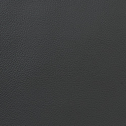 C8716 - ТЕМНО-СЕРЫЙ Экокожа на микрофибре HORN_3